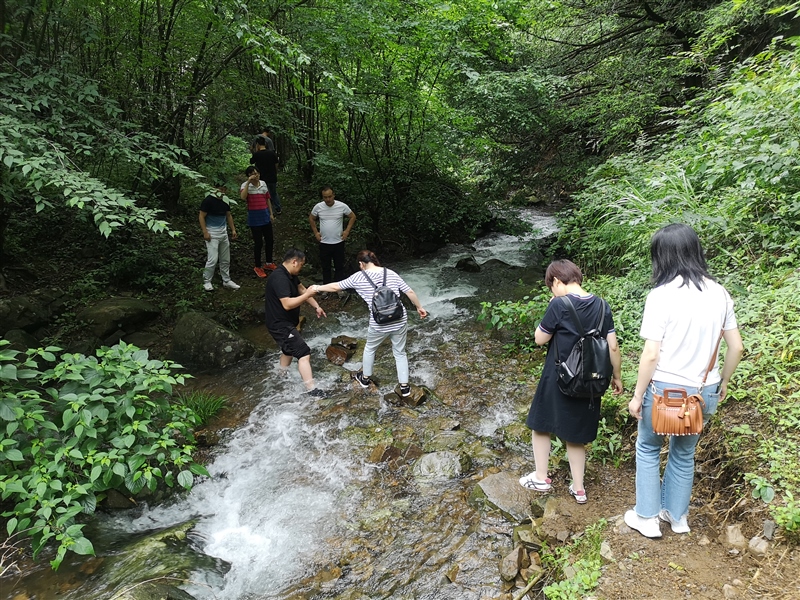 ���݅^(q��)��(gu��)�Y���F(tu��n)�_չ�cף���h98����ϵ�мo(j��)����(d��ng)(�D5)